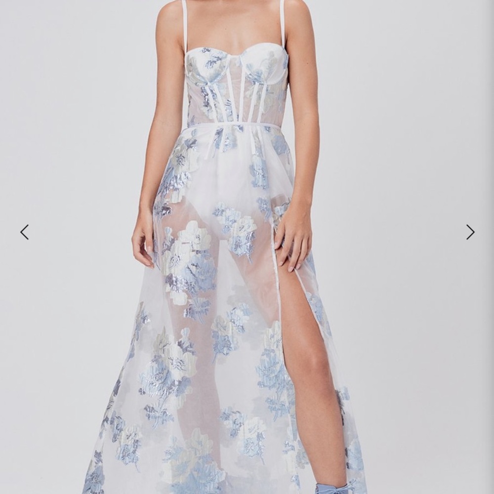 For love and lemons organza dress